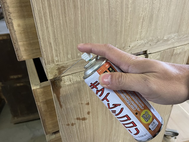 キクイ虫スプレー