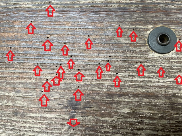 箪笥の虫食い状態