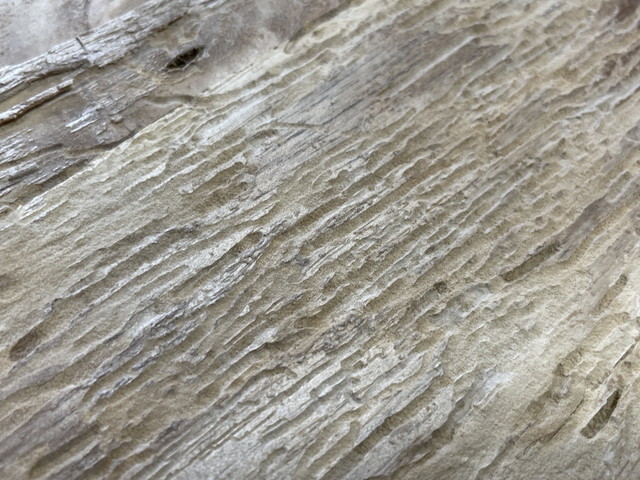 桐箪笥の虫食い修理