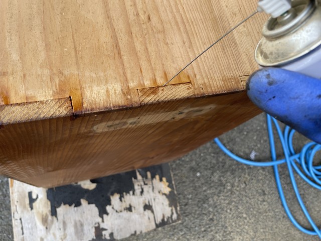 虫穴にスプレー