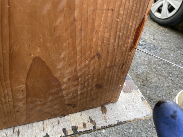 虫穴にスプレー